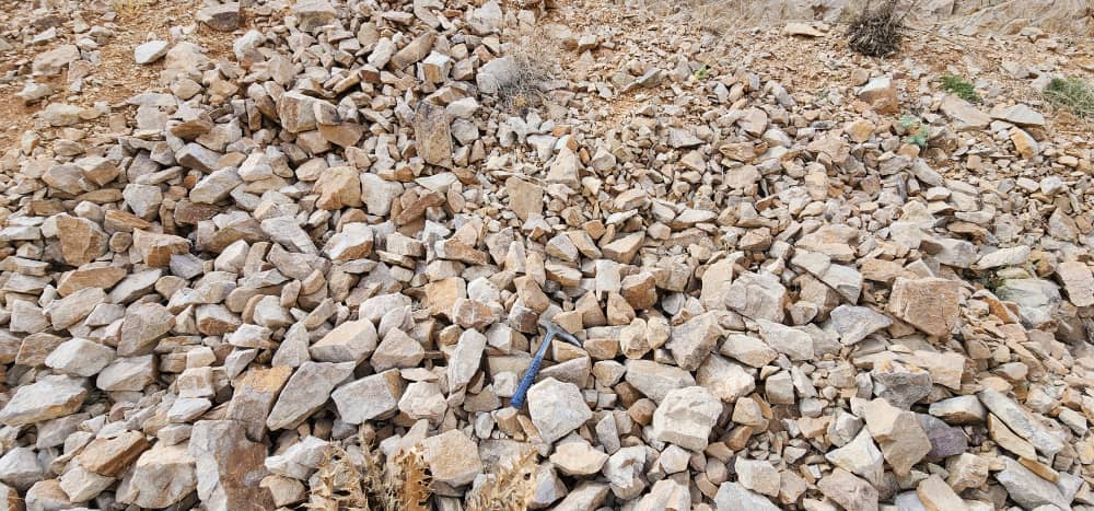 خدمات با کیفیت را با ما تجربه کنید