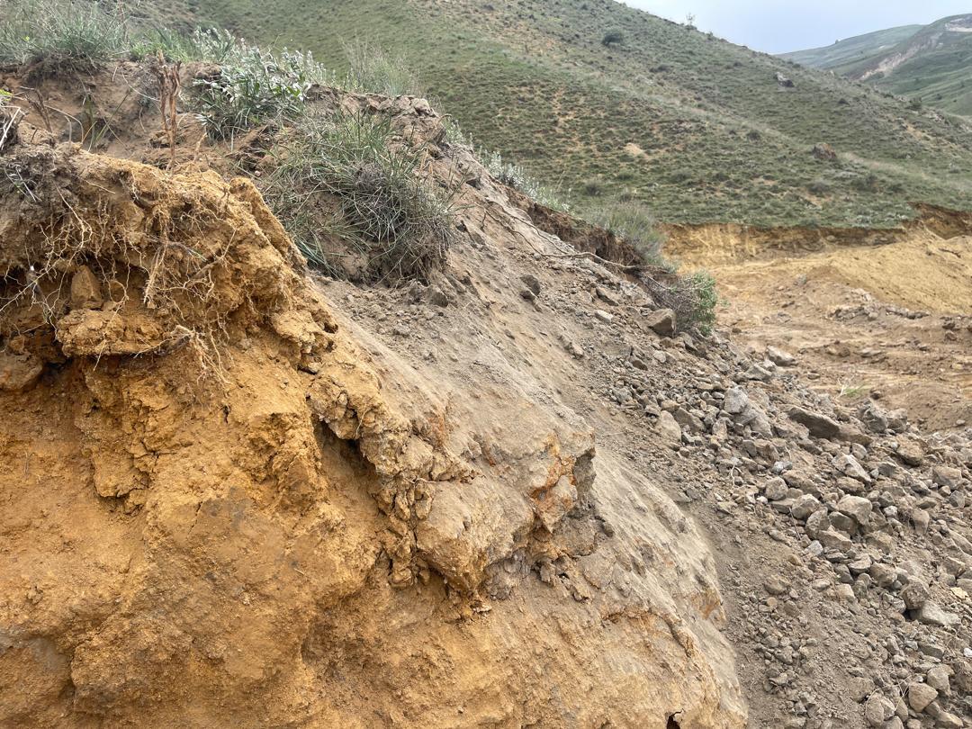 بهترین خدمات و محصولات را از ما بخواهید